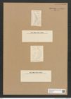 Diatomeae indet. Zeichnungen Sammlung Grunow Nr. 6436 (NHMW-BOT-W0375121)